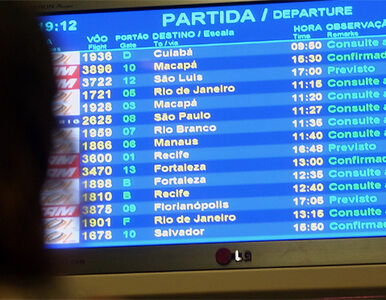 Miniatura: Brazylijskie lotniska nie zdążą na mundial