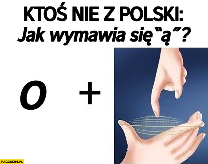 Język polski jest bardzo skomplikowany. Internauci tworzą memy 
