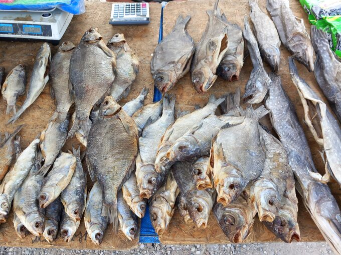 Ryby na bazarze