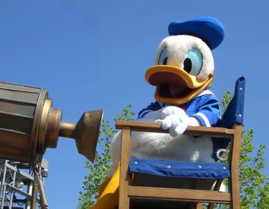 Miniatura: Jesteś prawdziwym kaczkofanem? Udowodnij...