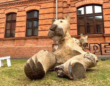 Miniatura: Do 11 czerwca w Centrum Praskim Koneser...