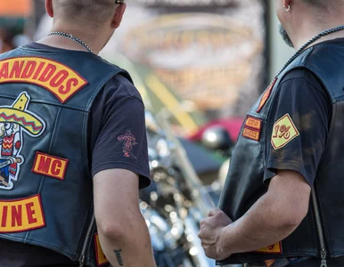 Miniatura: Jeden z najgroźniejszych gangów świata...