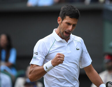 Miniatura: Wimbledon. Novak Djokovic triumfuje!...
