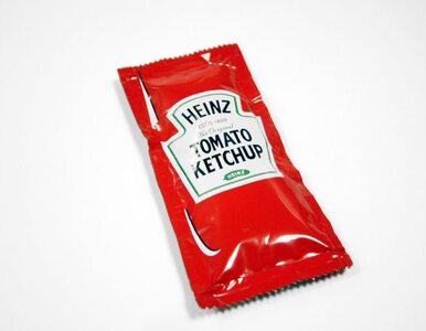 Miniatura: Heinz zainwestuje w Pudliszkach?