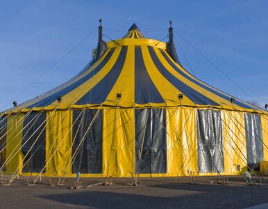 Miniatura: Zawalił się namiot cyrku. Zginęły dwie...