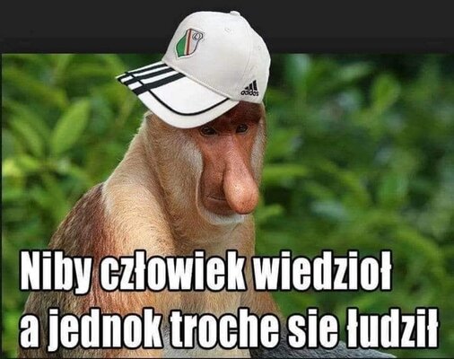 Miniatura: Memy podsumowujące końcówkę sezonu...