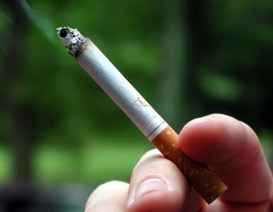 Miniatura: Niemcy: palenie albo praca. Koniec z...