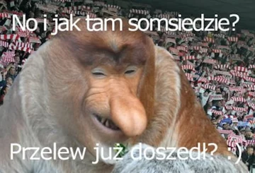 Wisła Kraków czeka na przelew - mem 
