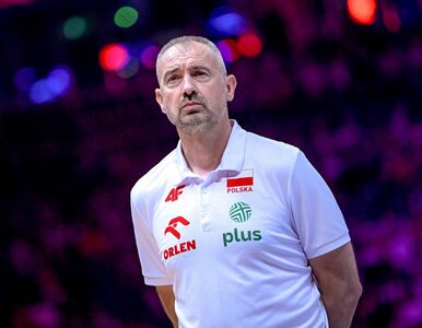 Miniatura: Nikola Grbić wybrał najlepiej, jak mógł....