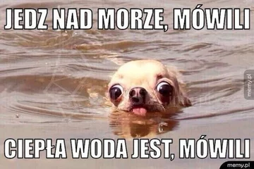 Dzień wolny? Internauci odpowiadają memami 