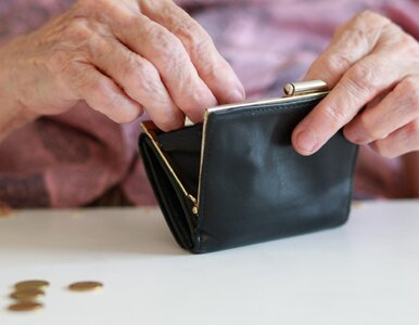 Miniatura: Kiedy przejść na emeryturę? ZUS wskazuje...