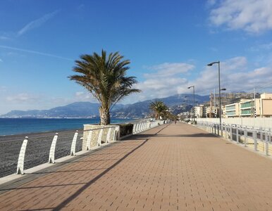 Miniatura: Miasto nad morzem zmieniło nazwę. Tak chce...