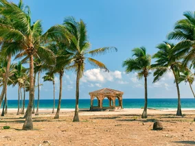 Miniatura: Tam Polacy spędzą walentynki. Nowa stolica...