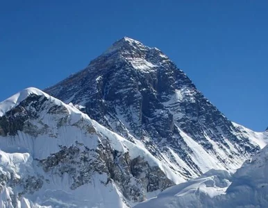 Miniatura: Książę Harry jest winien armii......