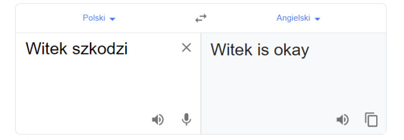 Tłumacz Google i fraza „Witek szkodzi” 
