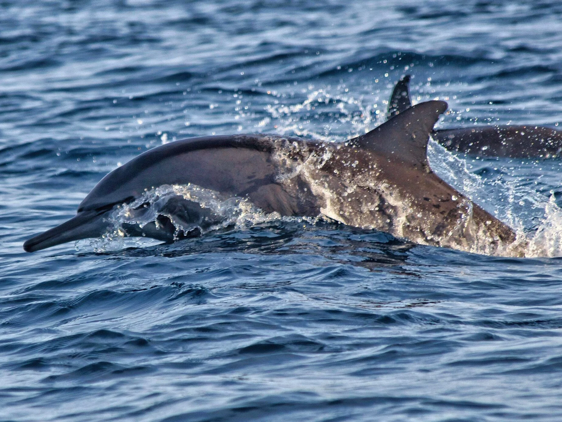 Quiz z wiedzy ogólnej. Trudno zdobyć choćby 7/10