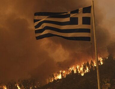 Miniatura: Pożary w Grecji. Czy ze strachu można...