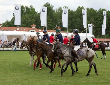 Miniatura: Otwarcie sezonu Polo 2013 - turniej BMW...