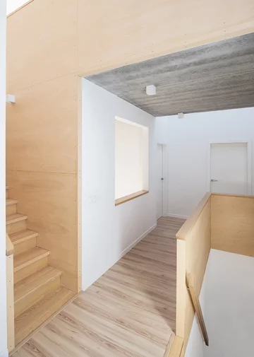 Dom na Podlesiu, proj. jojko + nawrocki architekci 