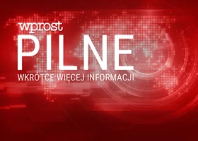 Miniatura: Zaskakujący zwrot ws. Romanowskiego. Tego...