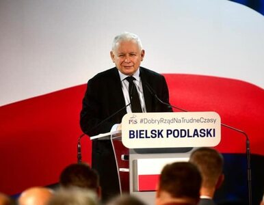 Miniatura: Kaczyński przedstawił trzy przyczyny...