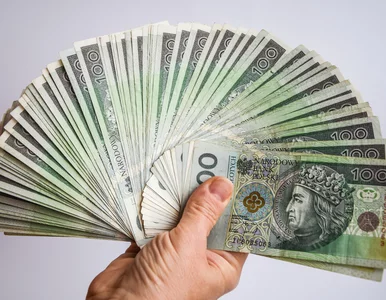 Miniatura: Zaczęła działać Tarcza Finansowa PRF. W...