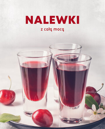 &bdquo;Nalewki z&nbsp;całą mocą&rdquo;, Wydawnictwo Buchmann