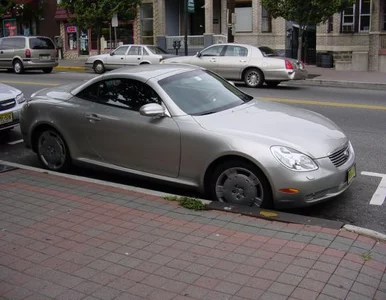 Miniatura: Europosłów życie jak w… Brukseli