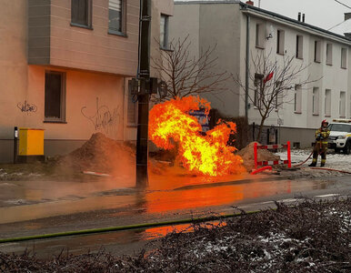 Miniatura: Eksplozja w Szczecinie. Trwa akcja służb