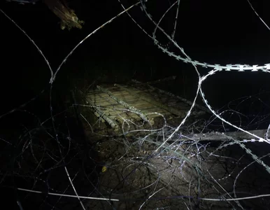 Miniatura: Kilkaset osób próbowało sforsować granicę...