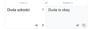 Tłumacz Google i fraza „Duda szkodzi" 