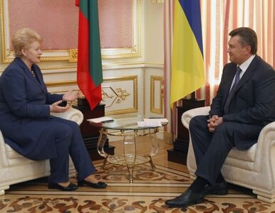 Miniatura: Dla prezydent Litwy spotkanie z Tymoszenko...