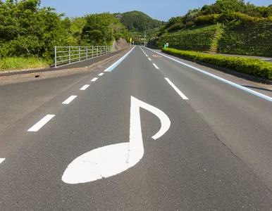 Miniatura: Kraków będzie miał pierwszą w Polsce...