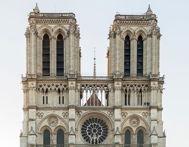 Miniatura: Chciały wysadzić katedrę Notre Dame. Pięć...