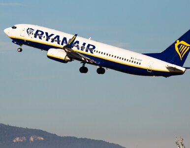 Miniatura: Ekspresowa wyprzedaż biletów w Ryanair....