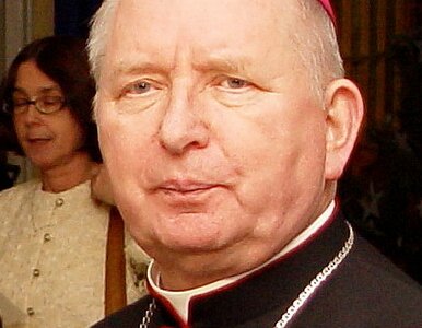 Miniatura: Bp Ryczan: liberałowie, którzy dzierżą...