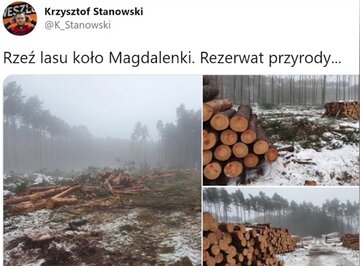 Wpis Krzysztofa Stanowskiego o&nbsp;wycince lasu