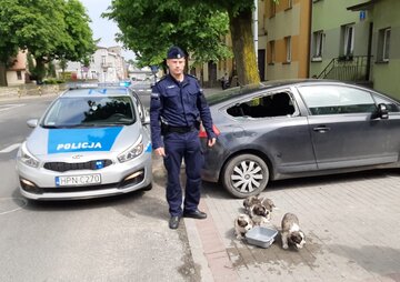 Szczeniaki uratowane przez policję
