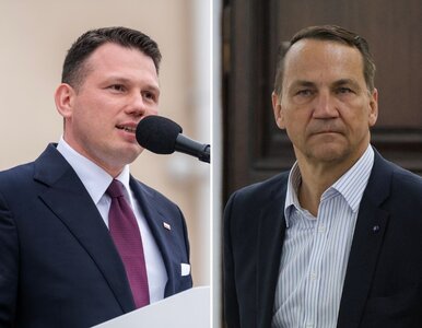 Miniatura: Mentzen krytykuje pomoc dla Ukrainy....