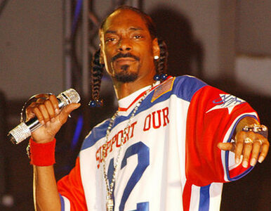 Miniatura: Snoop Lion: rap nie jest dla gejów