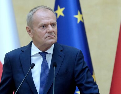 Miniatura: Rosyjski polityk atakuje Tuska ws. Nord...