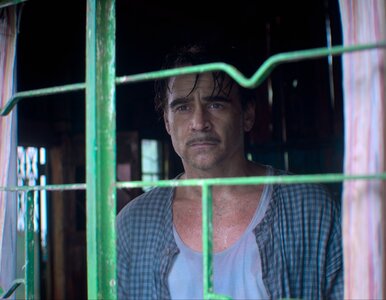 Miniatura: 5 perełek na Netflix, 3 hity na HBO Max....