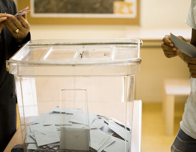 Sondaż IBRIS: PiS zwycięzcą wyborów samorządowych, dobry wynik PSL