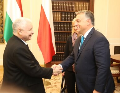 Miniatura: Orban chce przyjechać do Polski. Jest nowy...