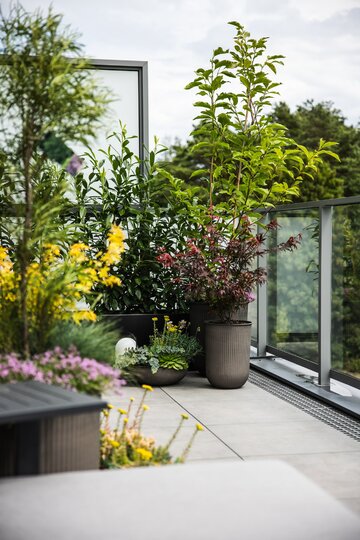 Projekt pracowni masz.design pokazuje, że ciemna kolorystyka, naturalne drewno i światło mogą stworzyć wnętrze pełne spokoju, elegancji i ponadczasowego charakteru 