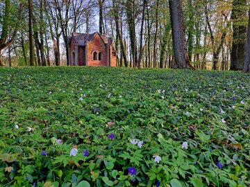 Park w&nbsp;Nakomiadach na&nbsp;Mazurach wiosną