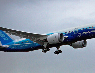 Miniatura: Boeing: kolejne zabezpieczenia w Dreamlinerze