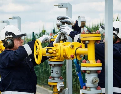 Miniatura: Europejski kryzys energetyczny. Na rynku...