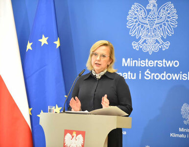 Miniatura: Polska skarży unijny pakiet Fit for 55....