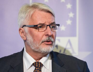 Miniatura: Szef MSZ o unijnej procedurze wobec Polski...